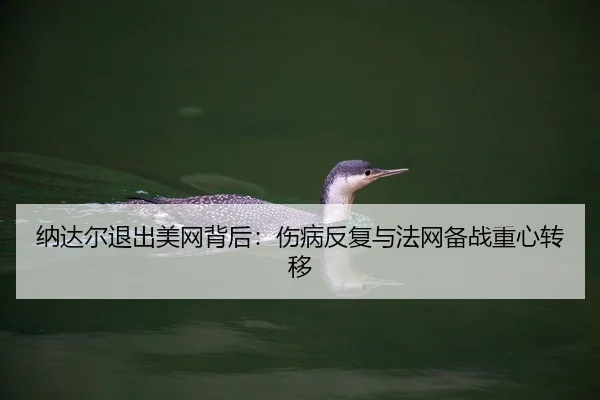 纳达尔退出美网背后：伤病反复与法网备战重心转移